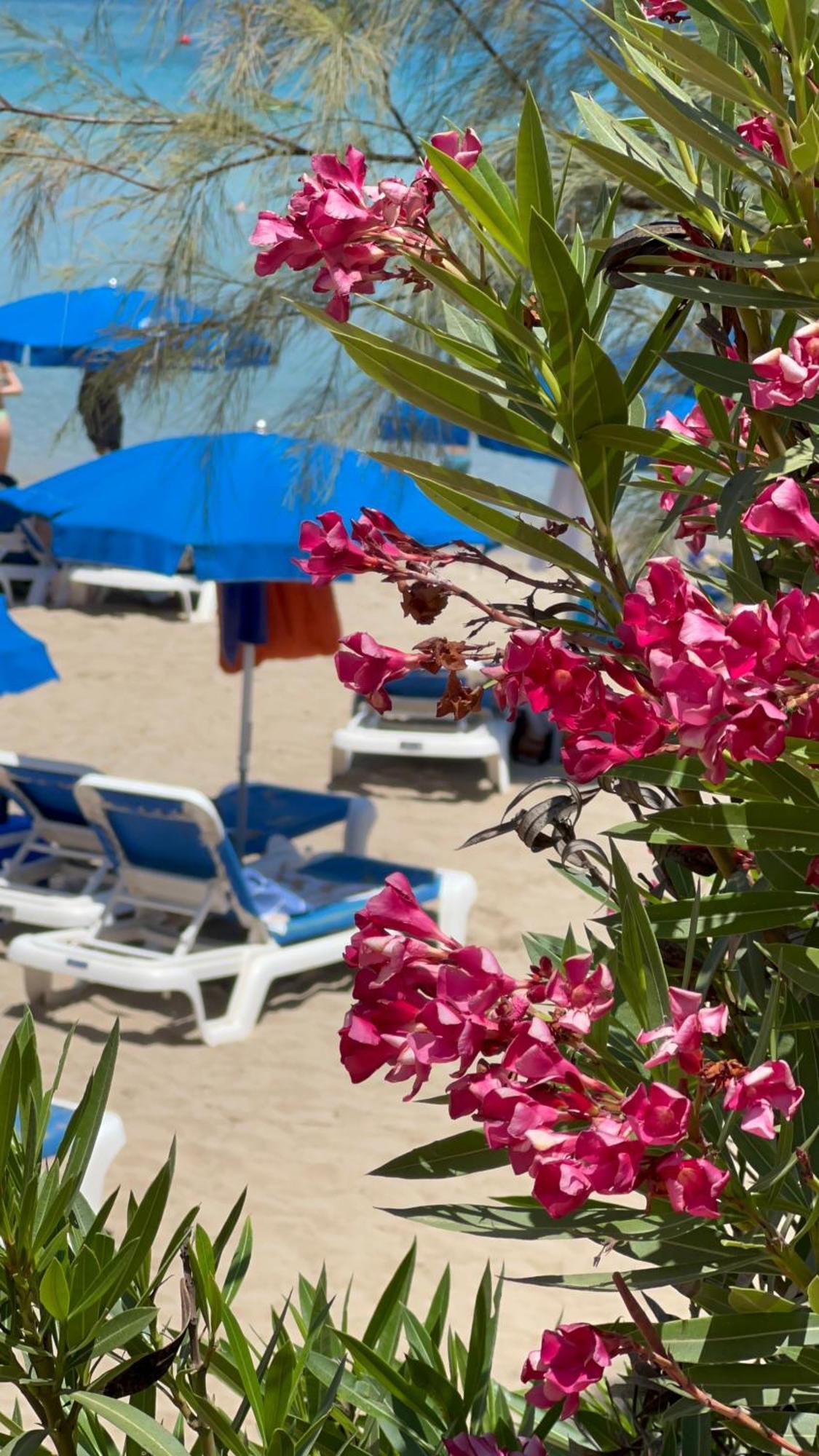 Otel Adelais Bay Protaras
